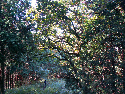 PICT0144
