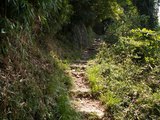 10登り