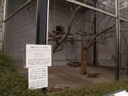 PICT0022