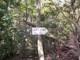 21山頂近し