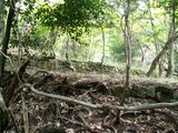 39石垣