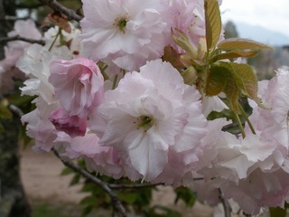 PICT0023