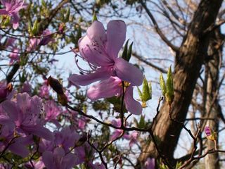 PICT0012