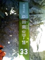 P1000795