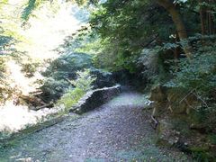 PICT0141
