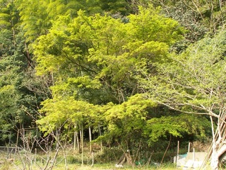 PICT0001_3