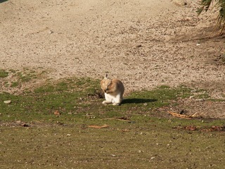 PICT0191