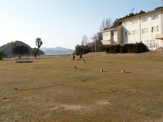 PICT0197