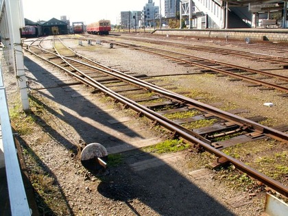 PICT0010