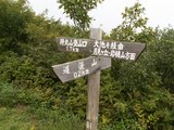 PICT0051