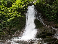 雌滝
