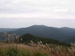 14臥龍山