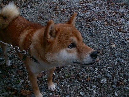 PICT0043