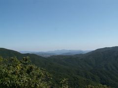 PICT0084