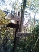 11看板2