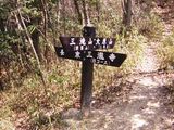 31分岐