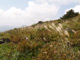 PICT0071