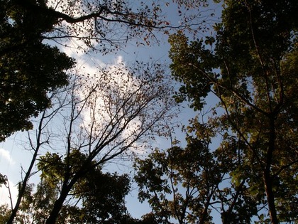 PICT0066