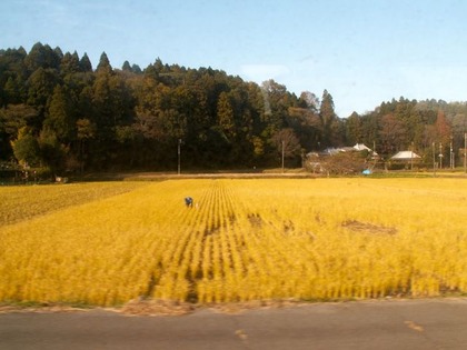 PICT0059