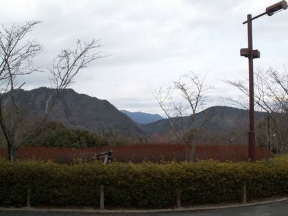 PICT0046