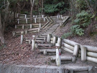 PICT0140