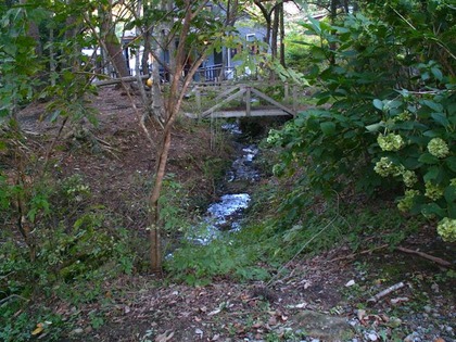 PICT0029