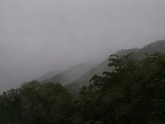 霧