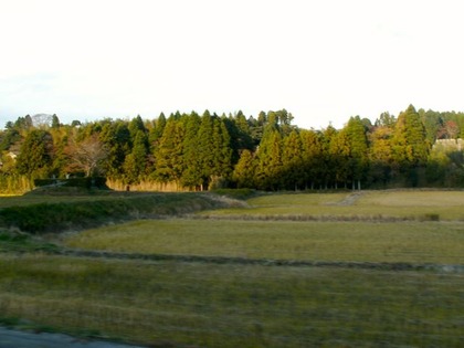 PICT0115