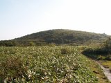 PICT0029