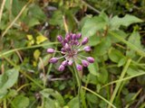 PICT0052