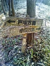 P1000779