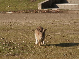 PICT0183