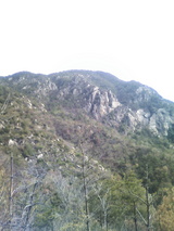 P1001067