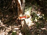 16山頂への看板
