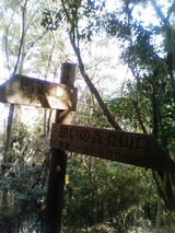 10看板1