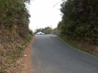 PICT0041