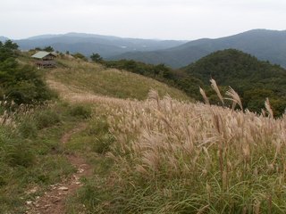 19休憩小屋