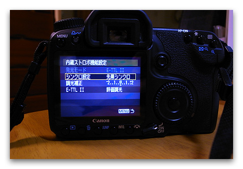 40D_repair_20090525-4