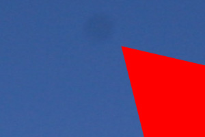 gomi2