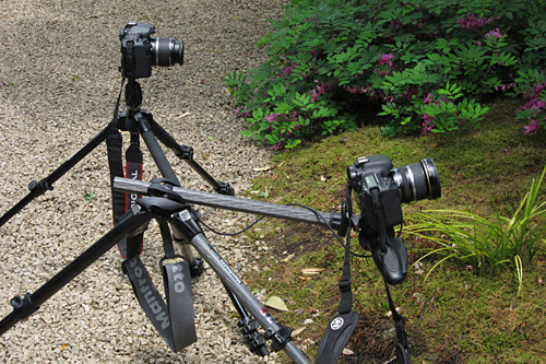 manfrotto20110529-1