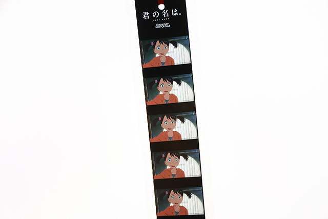 5D4A5317
