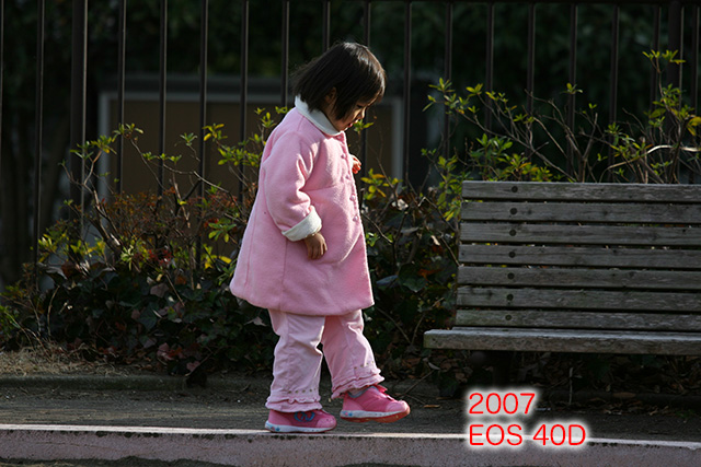 5D3_9579-4