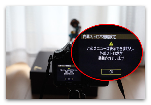 40D_repair_20090525
