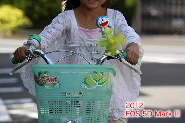 5D3_9579-1