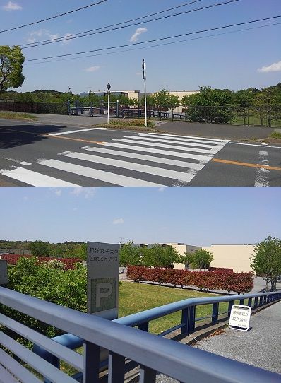 山万ユーカリが丘線41