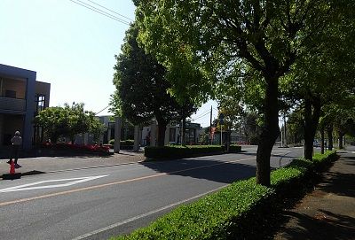 山万ユーカリが丘線38
