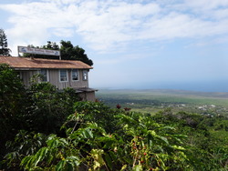 DSC00475