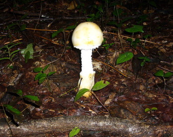 P1040347