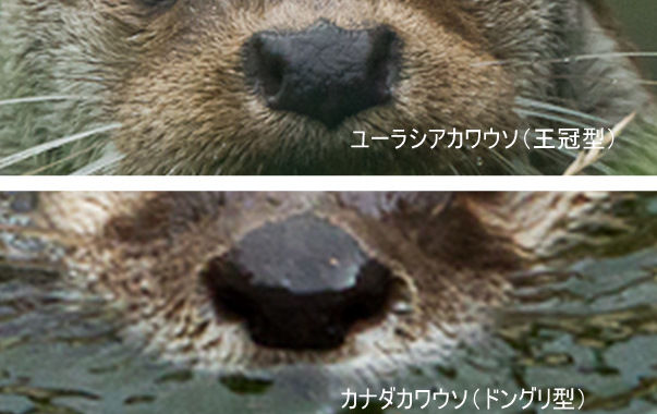 最近の更新21-1