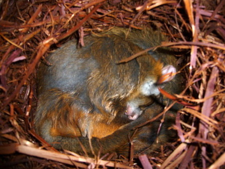 P1050227
